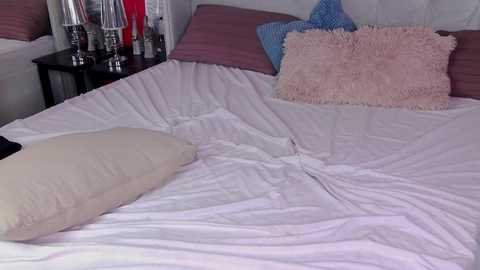 iwillfall_ @ chaturbate on 20241105