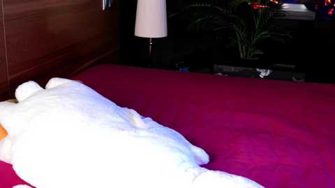 evalung @ chaturbate on 20241106