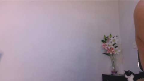 gina_akemi @ chaturbate on 20241106
