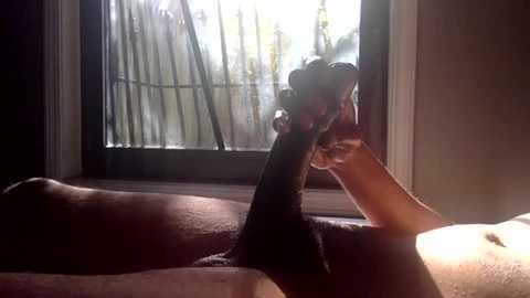 jayfelldown @ chaturbate on 20241106