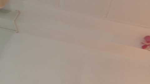 breeding_material @ chaturbate on 20241107