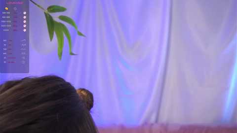 cutie_maureen @ chaturbate on 20241107