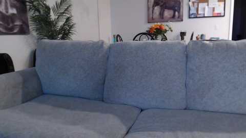 holihurricane @ chaturbate on 20241107