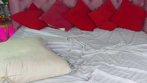 iwillfall_ @ chaturbate on 20241107