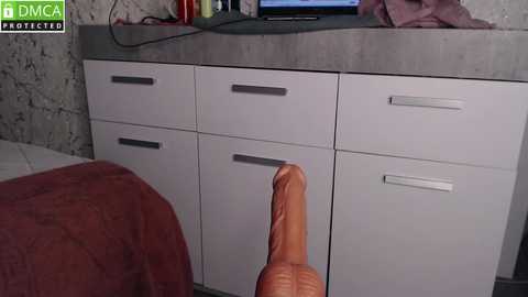 simplegirl1996 @ chaturbate on 20241107