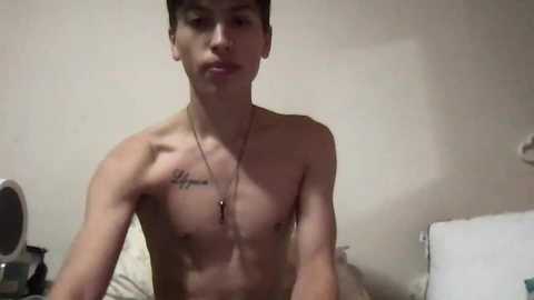 topzaddy @ chaturbate on 20241107