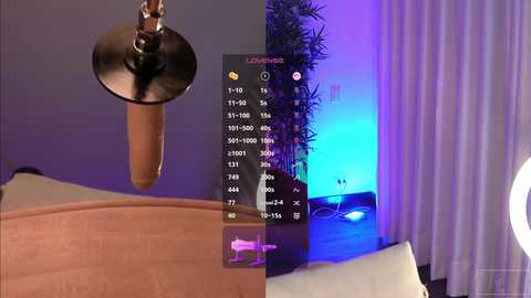 lau__1 @ chaturbate on 20241108