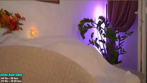 sweety_rinushka_ @ chaturbate on 20241108