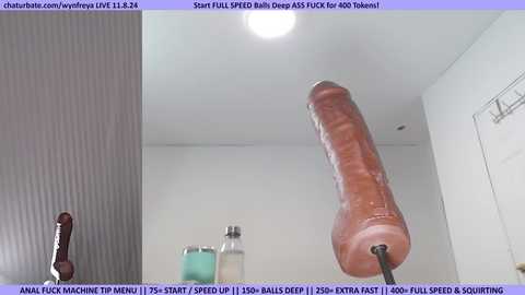 wynfreya @ chaturbate on 20241108