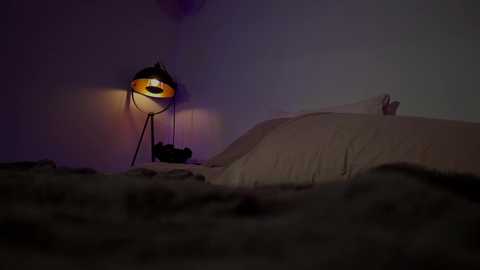 jadeperez_ @ chaturbate on 20241109