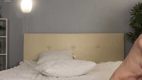 lauratanguy @ chaturbate on 20241109