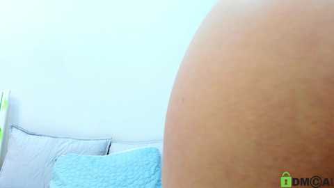 laurentdm @ chaturbate on 20241109