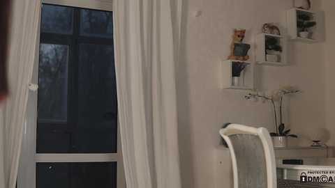 neferpita @ chaturbate on 20241109