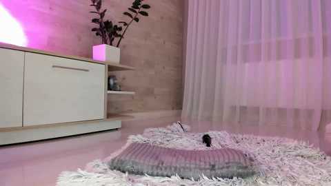 meryfoxxx @ chaturbate on 20241110