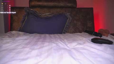 princessasiana @ chaturbate on 20241110