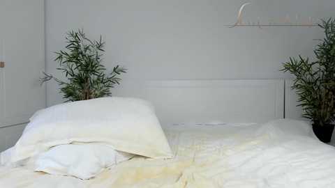 sexycreolyta4u @ chaturbate on 20241110