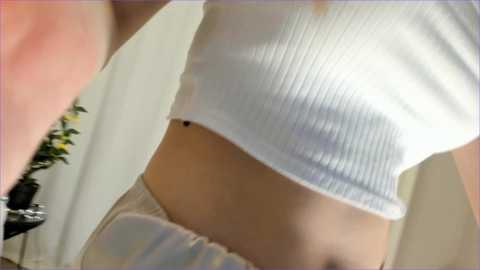 shine_chanel @ chaturbate on 20241110