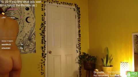 skybella_ @ chaturbate on 20241110