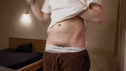 artdimension @ chaturbate on 20241112