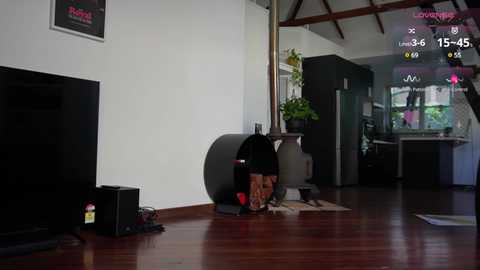 bellebabyboo @ chaturbate on 20241112