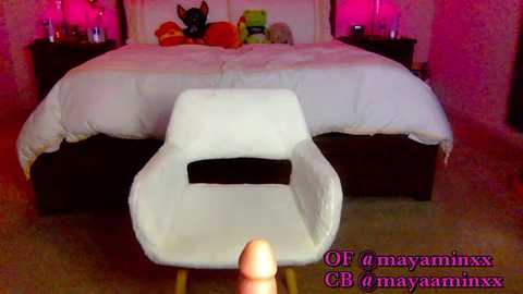 dubbletrubble69 @ chaturbate on 20241112