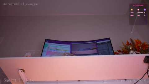 lil_eva @ chaturbate on 20241112