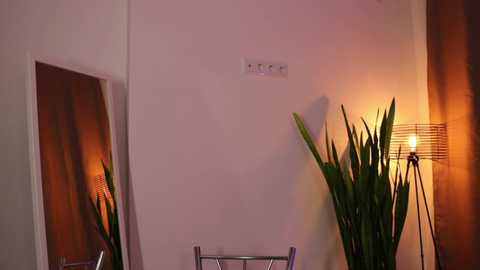 linda_warners @ chaturbate on 20241112