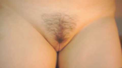 sheenajomason @ chaturbate on 20241112