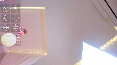 angelrossario @ chaturbate on 20241113