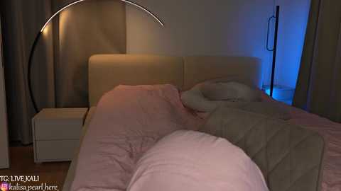 kalisa_pearl @ chaturbate on 20241113