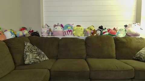 persephonewishes @ chaturbate on 20241113