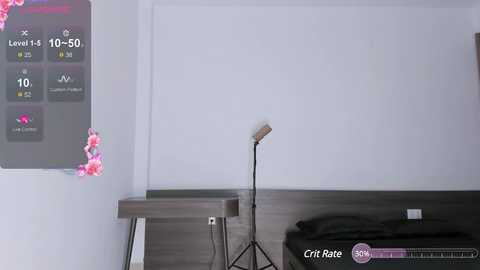 sana_minatozaki @ chaturbate on 20241113