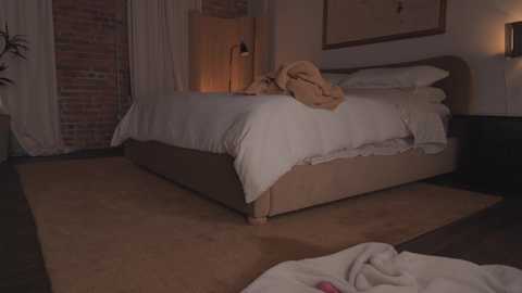 _june @ chaturbate on 20241114
