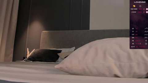 as1an_girlfriend @ chaturbate on 20241114