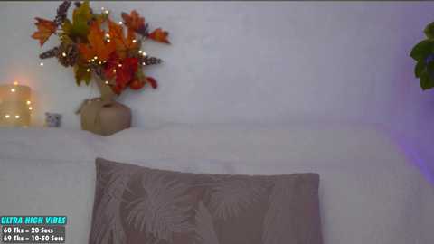 sweety_rinushka_ @ chaturbate on 20241114