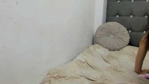 trixieemerald @ chaturbate on 20241114