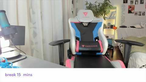 vivian_qwerty @ chaturbate on 20241114