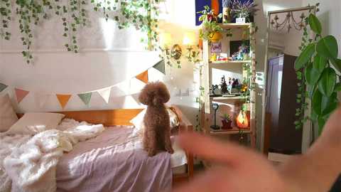 eli_sun @ chaturbate on 20241115