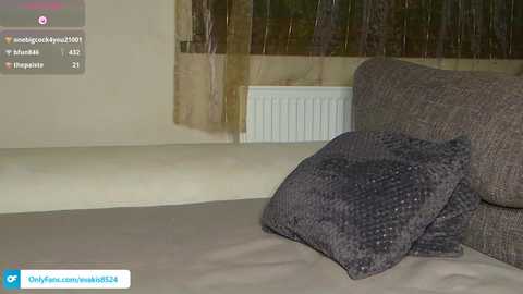 pbsteve @ chaturbate on 20241115