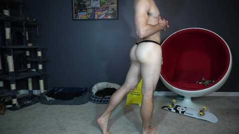 sydaffect @ chaturbate on 20241115