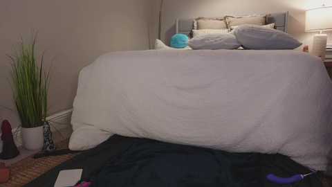 taylor_love_303 @ chaturbate on 20241115
