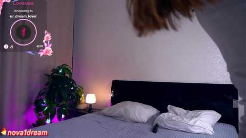 felissiany @ chaturbate on 20241116