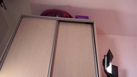 artofboobs @ chaturbate on 20241117
