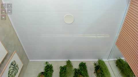 lia_myars @ chaturbate on 20241117