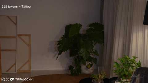 tifalock_ @ chaturbate on 20241118