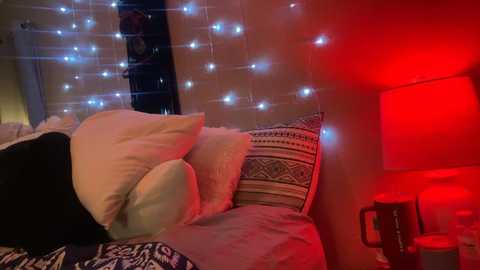 danidragon69 @ chaturbate on 20241119