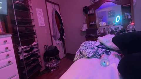 danidragon69 @ chaturbate on 20241119