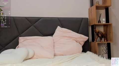 pinkncrazy @ chaturbate on 20241119