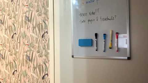 summer_always @ chaturbate on 20241119