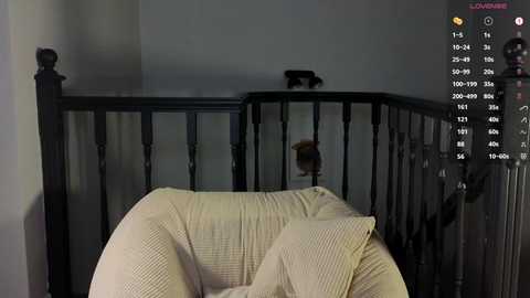 xterribly_cutex @ chaturbate on 20241119